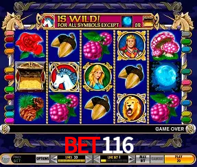 Cadastro rápido e seguro na Bet116